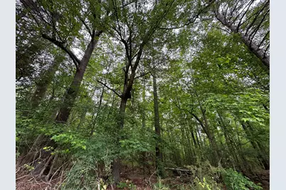 Lot 3A Elberton Highway, Lincolnton, GA 30817 - Photo 5