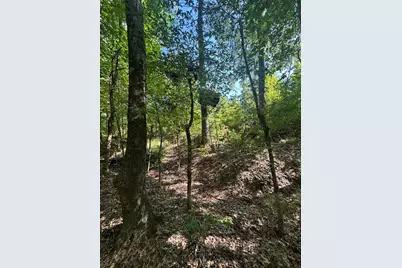 Lot 3A Elberton Highway, Lincolnton, GA 30817 - Photo 17