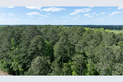 Lot 3A Elberton Highway, Lincolnton, GA 30817 - Photo 21