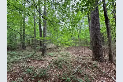 Lot 3A Elberton Highway, Lincolnton, GA 30817 - Photo 11