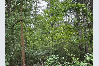 Lot 3A Elberton Highway, Lincolnton, GA 30817 - Photo 7