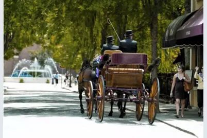 801 Brisbane Court, Graniteville, SC 29829 - Photo 55