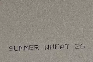 627 Clary St, Thomson, GA 30824 - Photo 5