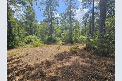 7173 Capers Path, Aiken, SC 29803 - Photo 17