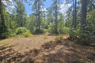 7173 Capers Path, Aiken, SC 29803 - Photo 17