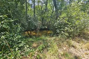 7173 Capers Path, Aiken, SC 29803 - Photo 27