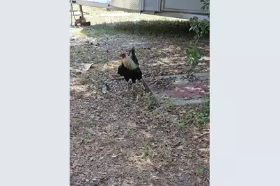 7173 Capers Path, Aiken, SC 29803 - Photo 59