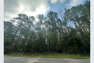 Lot 1 Dogwood Lane, Parksville, SC 29845 - Photo 1