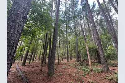 Lot 2 Dogwood Lane, Parksville, SC 29845 - Photo 3