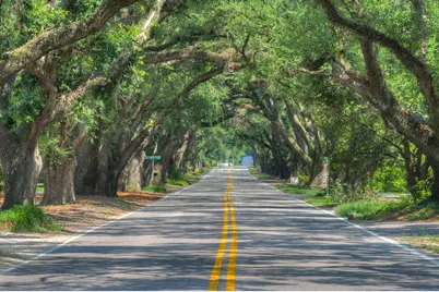 4306 Hartshorn Circle, Aiken, SC 29801 - Photo 51