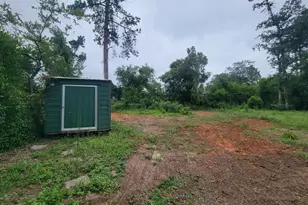 1125 Crestview Avenue, North Augusta, SC 29841 - Photo 19