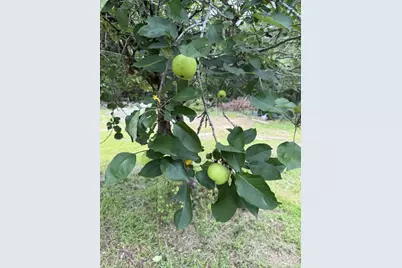 5920 Ga-23, Waynesboro, GA 30830 - Photo 13