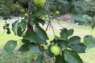 5920 GA-23, Waynesboro, GA 30830 - Photo 13