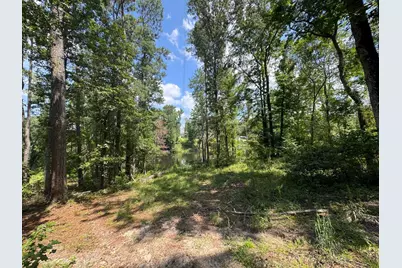 0 Hummingbird Drive, Trenton, SC 29847 - Photo 3