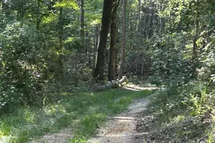 1987 Crook Rd Rd, Lincolnton, GA 30817 - Photo 39