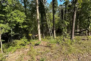 1987 Crook Rd Rd, Lincolnton, GA 30817 - Photo 43