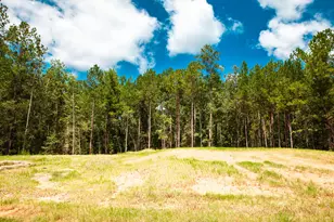 Lot 11 Leyland Ct, Clarks Hill, SC 29821 - Photo 1