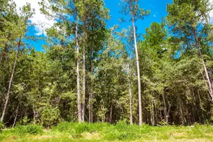 Lot 12 Leyland Ct, Clarks Hill, SC 29821 - Photo 1