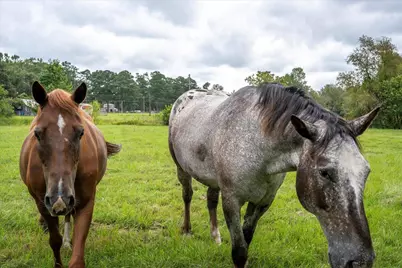 1341 Highway 171, Louisville, GA 30434 - Photo 43