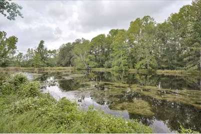 1341 Highway 171, Louisville, GA 30434 - Photo 3