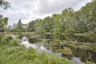 1341 Hwy 171, Louisville, GA 30434 - Photo 3