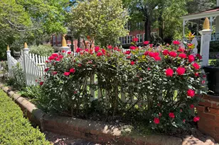 307 N Alexander Ave, Washington, GA 30673 - Photo 59