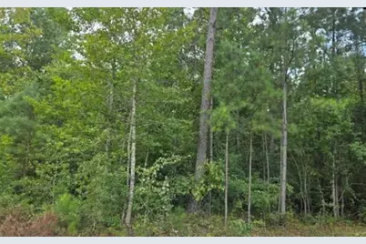 N1 Old Edgefield Road, Ninety Six, SC 29666 - Photo 5