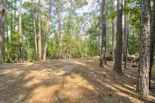 129 Pond View Rd, Evans, GA 30809 - Photo 55