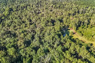 891 Rustic Oak Bend, Hephzibah, GA 30815 - Photo 19