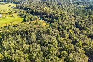 891 Rustic Oak Bend, Hephzibah, GA 30815 - Photo 21