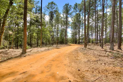 8472 Gregory Road, Aiken, SC 29805 - Photo 3