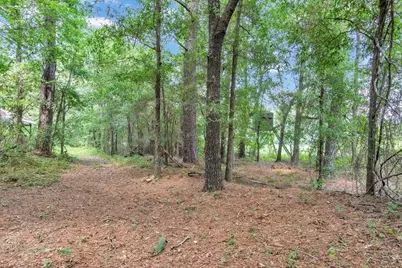 356 Massey-Doss Road, Keysville, GA 30816 - Photo 19