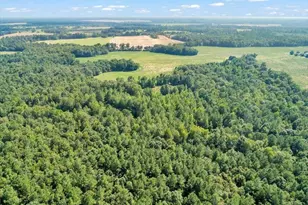 356 Massey-Doss Rd, Keysville, GA 30816 - Photo 13