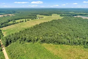 356 Massey-Doss Rd, Keysville, GA 30816 - Photo 9