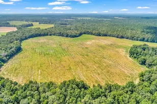 356 Massey-Doss Rd, Keysville, GA 30816 - Photo 11