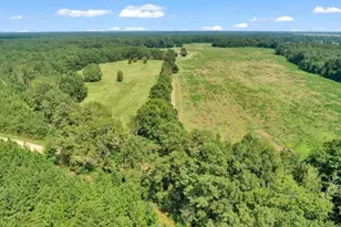 356 Massey-Doss Rd, Keysville, GA 30816 - Photo 7