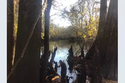 129 Brannen Landing Landing, Midville, GA 30441 - Photo 45