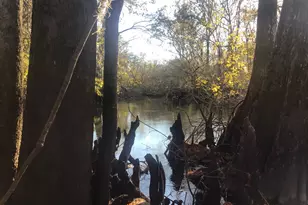 129 Brannen Landing Landing, Midville, GA 30441 - Photo 45