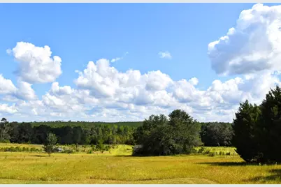 5209 Neely Road, Hephzibah, GA 30815 - Photo 3