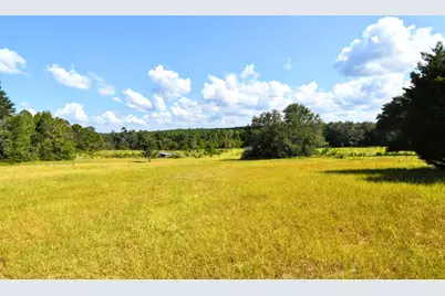 5209 Neely Road, Hephzibah, GA 30815 - Photo 37