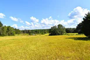 5209 Neely Rd, Hephzibah, GA 30815 - Photo 37