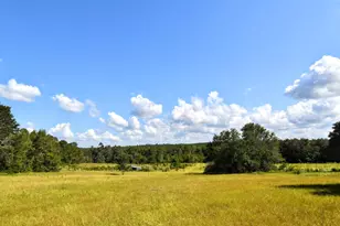 5209 Neely Rd, Hephzibah, GA 30815 - Photo 47