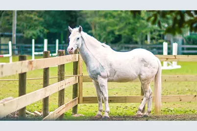3029 Fancy Trail, Aiken, SC 29803 - Photo 11
