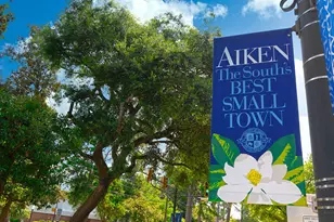 3041 Fancy Trl, Aiken, SC 29803 - Photo 13