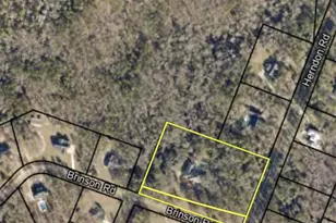 134 Brinson Rd, Waynesboro, GA 30830 - Photo 63