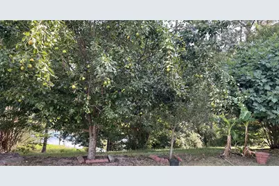 4009 Waccamaw Drive, Martinez, GA 30907 - Photo 17