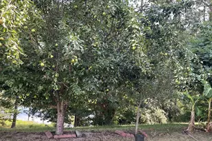 4009 Waccamaw Dr, Martinez, GA 30907 - Photo 17