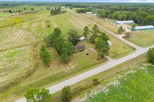 5303 Buttermilk Rd, Sylvania, GA 30467 - Photo 27