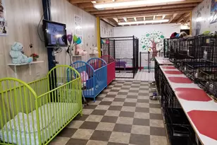 2765 Steiner Pl Rd, Waynesboro, GA 30830 - Photo 61