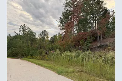 14 Pindo Pass, North Augusta, SC 29860 - Photo 1